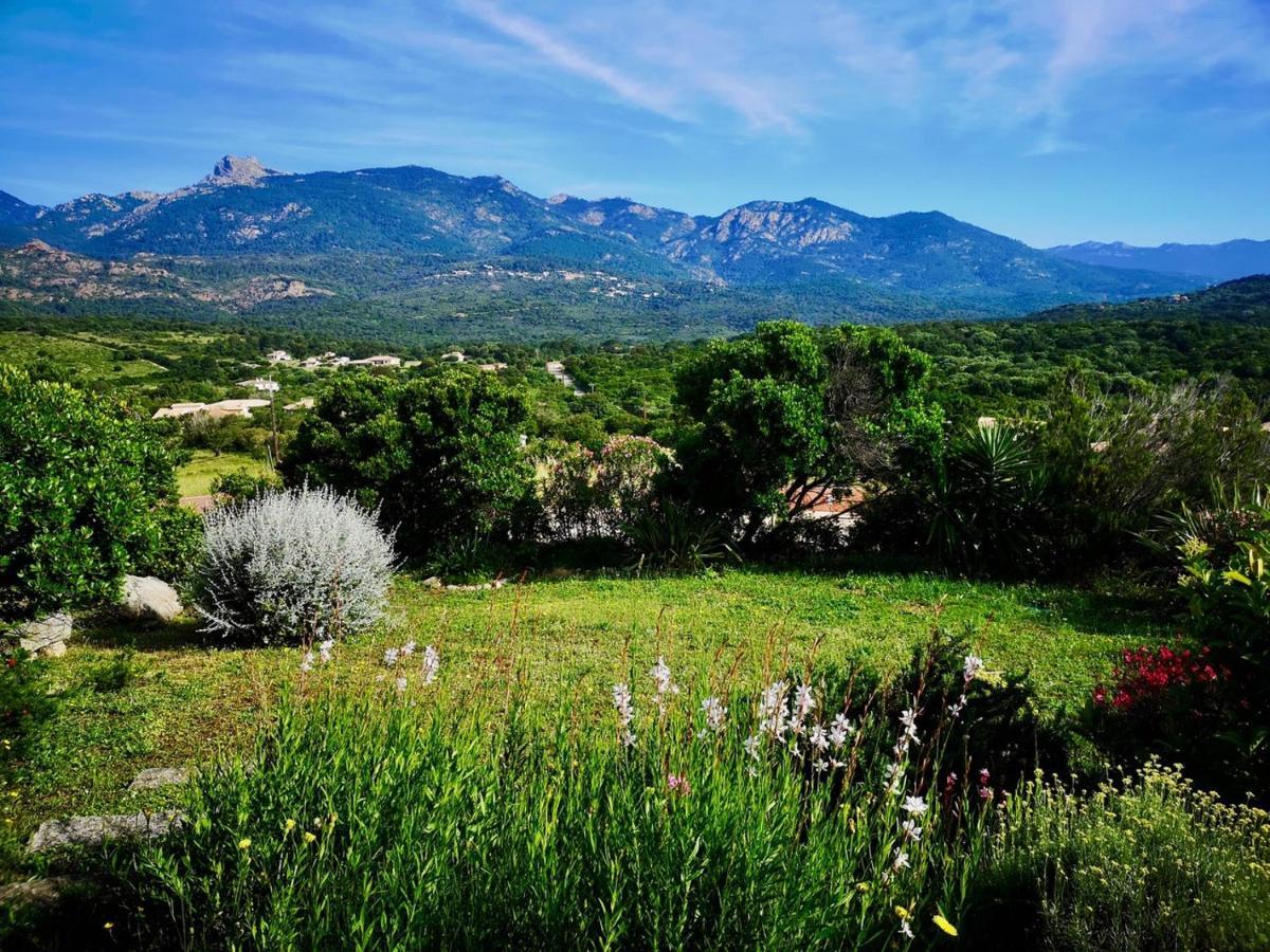 Appartements Avec Jardin Entre Porto-Vecchio Et Figari - Casa Mattiste ソエッタ エクステリア 写真