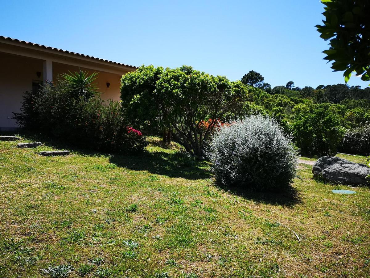 Appartements Avec Jardin Entre Porto-Vecchio Et Figari - Casa Mattiste ソエッタ エクステリア 写真